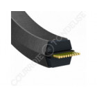 Courroie de coupe MTD 75404175