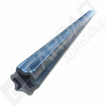 Le modèle de Tube étoile rilsanisé Magdalena 47 x61 Lg 1 mètre - TRTE150/1-MAGDALENA