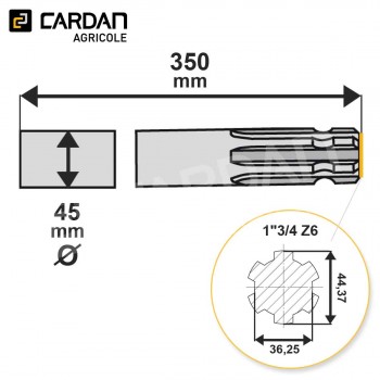 Le modèle de Arbre Magdalena 1-3/4 6 cannelures lg 350 mm - AR134/LG350-MAGDALENA