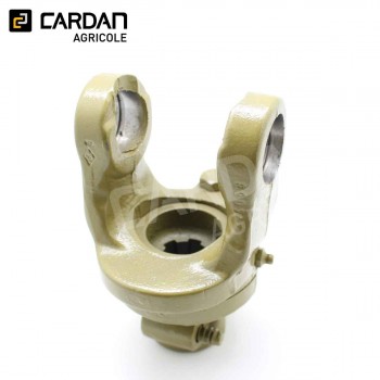 Le modèle de Limiteur à boulon de rupture Magdalena 36x89 - 1-3/4 Z20 - 3600Nm - LB2010-MAGDALENA