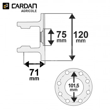 Le modèle de Machoire plateau Walterscheid 21.66.00 / 1340427 - MP05120F8-WALTERSCHEID