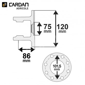 Le modèle de Machoire plateau Walterscheid 35.27.00 / 1023477 - MP19120F8-WALTERSCHEID