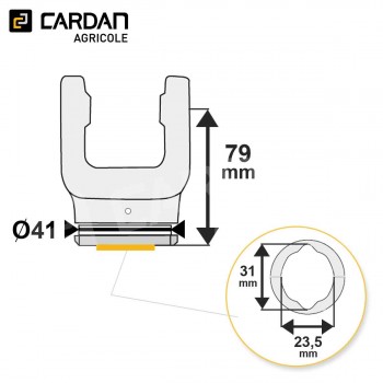 Le modèle de Machoire tube Benzi 22x54,8 - Citron intérieur 23,5x31 - MTCI02-BENZI