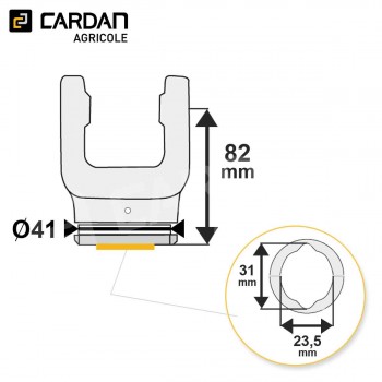 Le modèle de Machoire tube 23,8x61,3 - Citron intérieur 23,5x31 - MTCI30