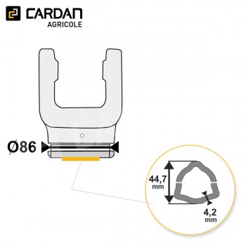 Le modèle de Machoire tube Bondioli 204S66855 - MTFRISFTS6-BONDIOLI