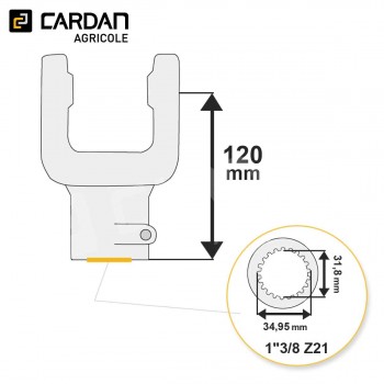 Le modèle de Machoire d'extrémité Magdalena 30,2x92 - 1-3/8 Z21 Poussoir - MA078-MAGDALENA