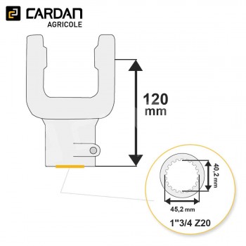 Le modèle de Machoire d'extrémité Magdalena 30,2x92 - 1-3/4 Z20 Poussoir - MA0710-MAGDALENA