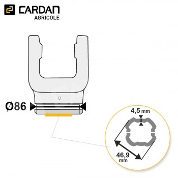 Le modèle de Machoire tube Bondioli 204S76856 - MTQISFTS7-BONDIOLI