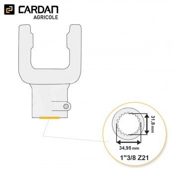 Le modèle de Machoire d'extrémité Bondioli série SFT S9 5070M3755 - 1-3/8 Z21 - MA/S98-BONDIOLI