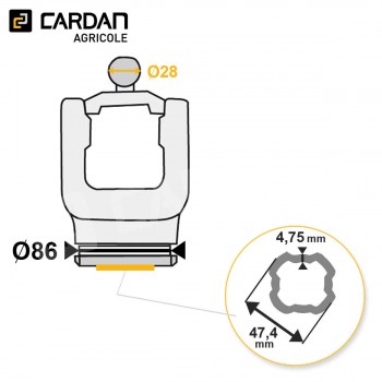 Le modèle de Machoire grand angle Bondioli SFT 2150G6872 - HMTQISFTS7-BONDIOLI
