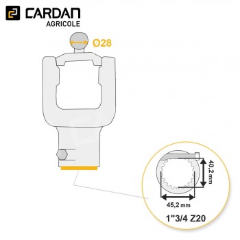 Le modèle de Machoire grand angle Bondioli SFT S6 5110G3861 - HMASFTS610/BC-BONDIOLI