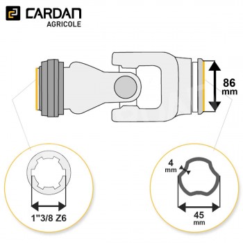Le modèle de Joint de cardan Bondioli complet Free rotation intérieur 45x4 - 1-3/8 Z6 - JFRISFTS6-BONDIOLI