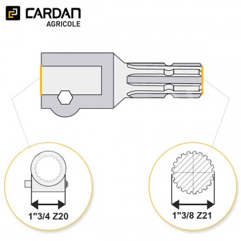 Le modèle de Transformateur à boulon Magdalena F 1-3/4 Z20 - M 1-3/8 Z21 - TRB019-MAGDALENA