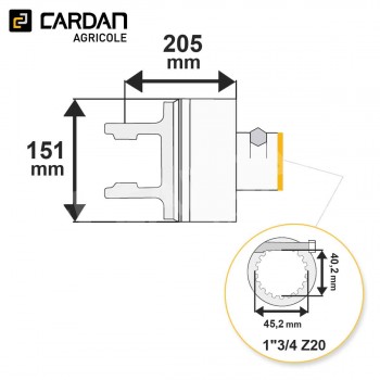 Le modèle de Limiteur auto débrayable et roue libre Bondioli 6WG265038R - LCLR24/S6-134-20/2500-BONDIOLI