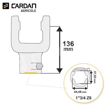 Le modèle de Machoire d'extrémité Magdalena 42x104 - 1-3/4 Z6 Boulon conique - MA219BC-MAGDALENA